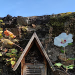 Photo n° 34 de l'avis de BAILLIN.E fait le 14/09/2021 à 15:41 pour Jardin des Cinq Sens à Yvoire