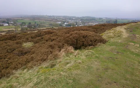 Moel y Gaer image