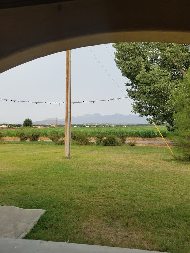 Vineyard «Rio Grande Vineyard & Winery», reviews and photos, 5321 NM-28, Las Cruces, NM 88005, USA