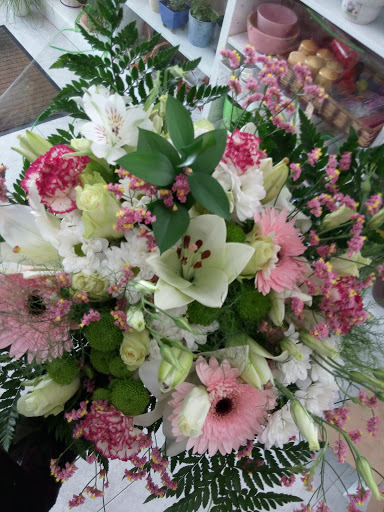 Floristería Mercería Las Camelias Santiago de Compostela