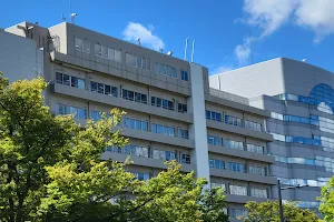 Tsuchiya General Hospital image