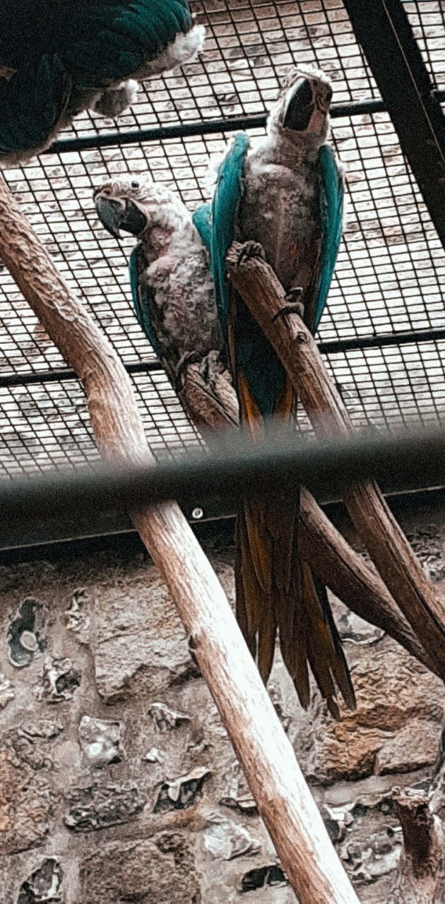 Photo n° 18 de l'avis de Ciccio.e fait le 28/07/2020 à 01:20