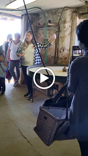 Produce Market «Solly Brothers», reviews and photos, 707 Almshouse Rd, Warminster, PA 18974, USA