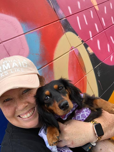 Pet Store «All Pets Considered», reviews and photos, 2614 Battleground Ave, Greensboro, NC 27408, USA