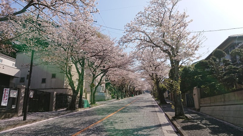 桜坂