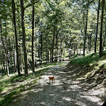 Photo n°5 de l'avis de Giovanni.i fait le 15/09/2021 à 12:22 sur le  Koliba à Rorà