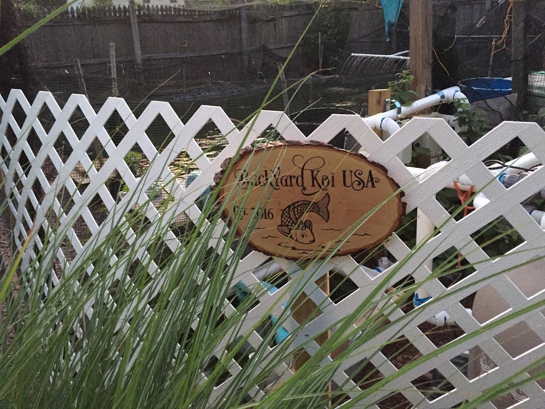 BackYardKoiUSA