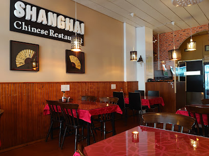 Shanghai Chinese Restaurant - Tuomiokirkonkatu 21, 33100 Tampere, Finland