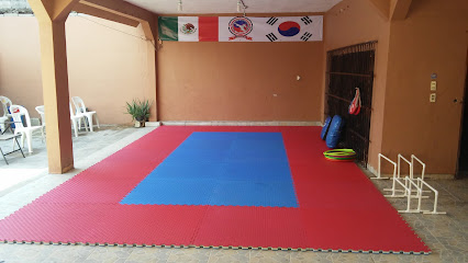 Taekwondo Guepardos - Av. 10 de Julio 139, Benito Juárez, 24180 Cd del Carmen, Camp., Mexico