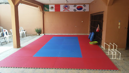 TAEKWONDO GUEPARDOS