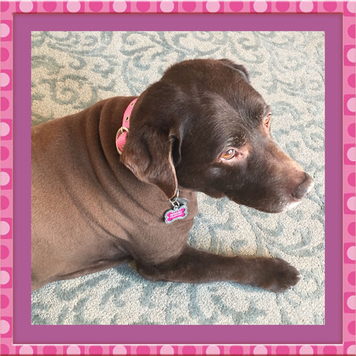 Funeral Home «Wright & Ford Family Funeral Home», reviews and photos, 38 NJ-31, Flemington, NJ 08822, USA