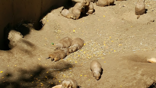 Zoo «Henry Vilas Zoo», reviews and photos, 702 S Randall Ave, Madison, WI 53715, USA