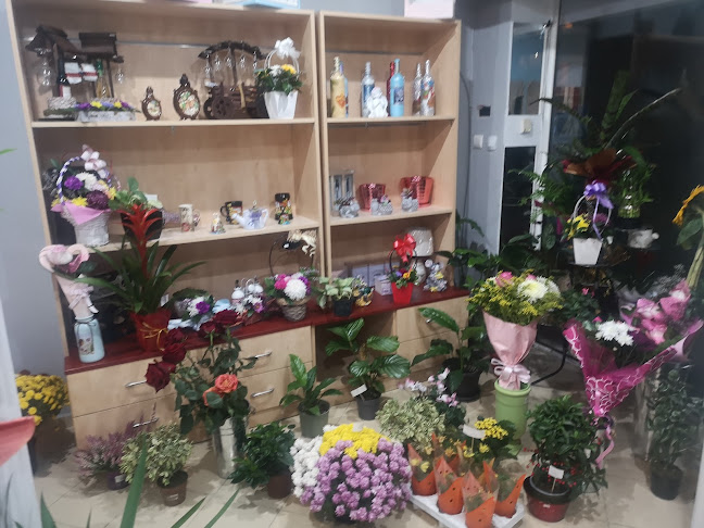 Магазин за цветя Багреница - Цветарница
