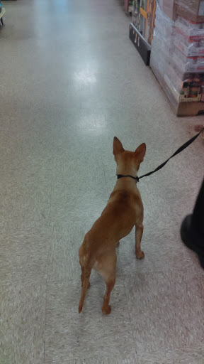 Pet Supply Store «PetSmart», reviews and photos, 916 Loganville Hwy, Bethlehem, GA 30620, USA