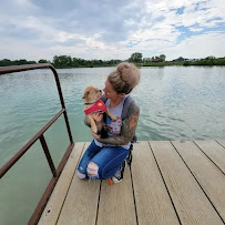 Walk N' Roll Pet Care & Dog Walking - Photo 3 - Car repair in , Winter Haven