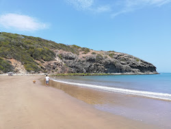 Foto av Kemp Beach med hög nivå av renlighet