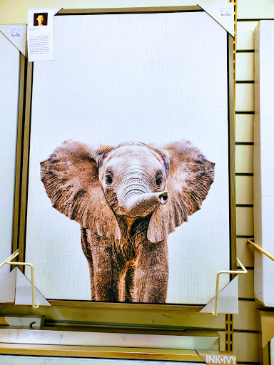 Department Store «HomeGoods», reviews and photos, 9 Kilton Rd, Bedford, NH 03110, USA