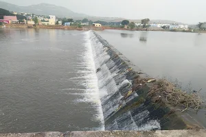 Chitravathi River Revitalization. image