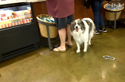 Coffee Shop «Starbucks», reviews and photos, 630 3rd St W, Randolph AFB, TX 78150, USA