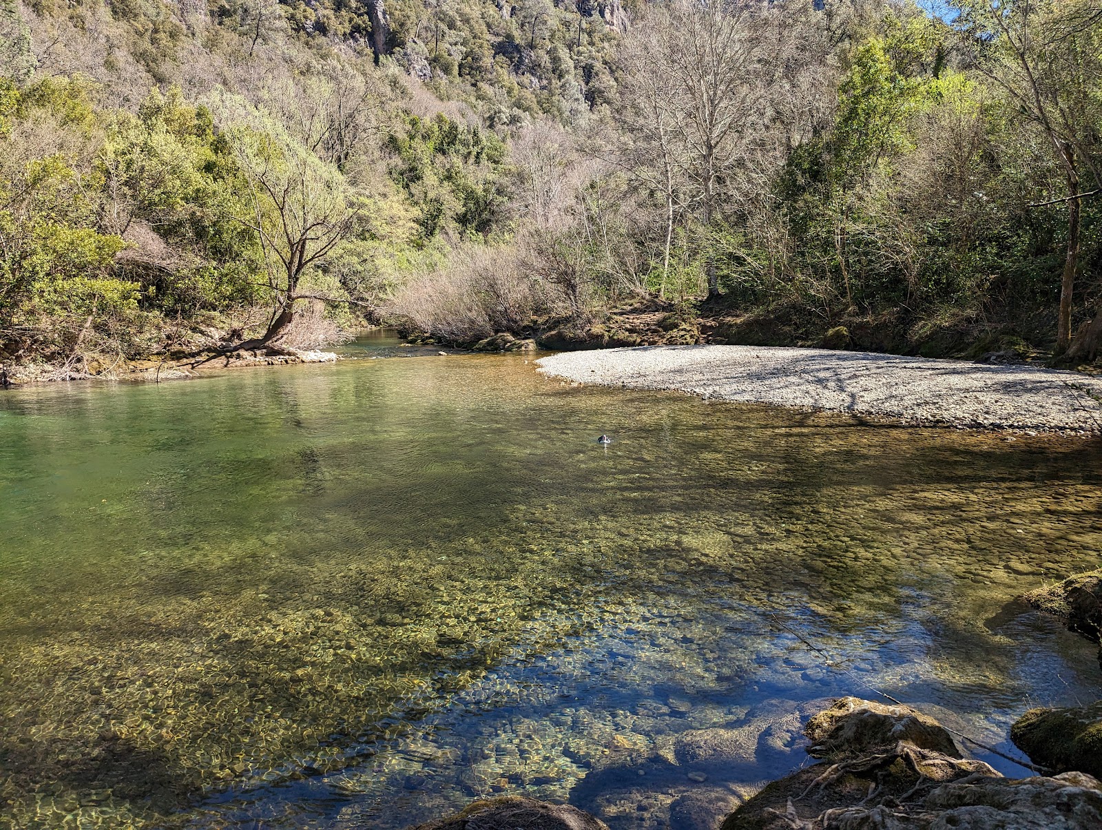 Plage De La Siagne'in fotoğrafı vahşi alan