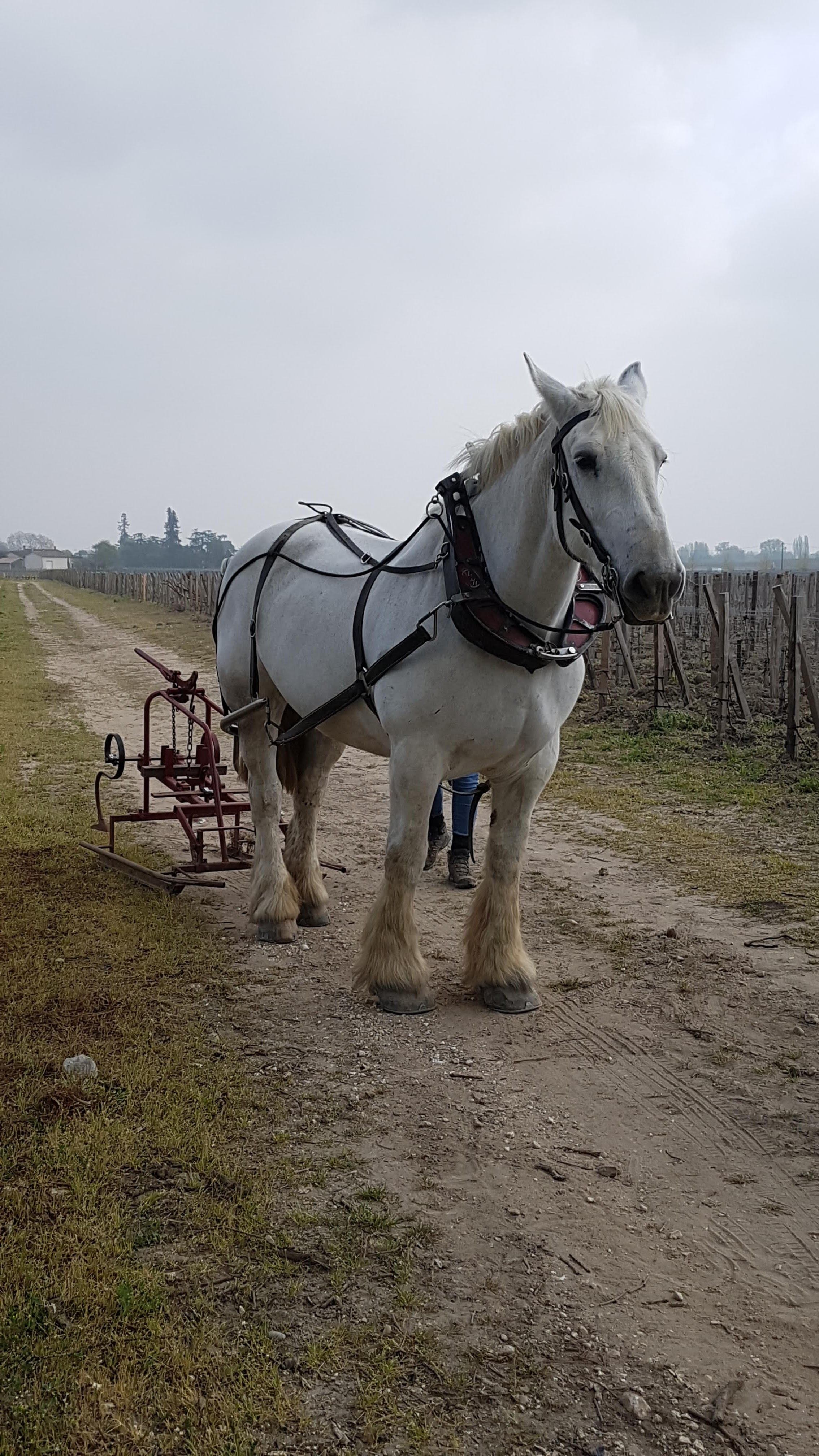 Photo n° 16 de l'avis de Luana.a fait le 02/04/2019 à 21:50