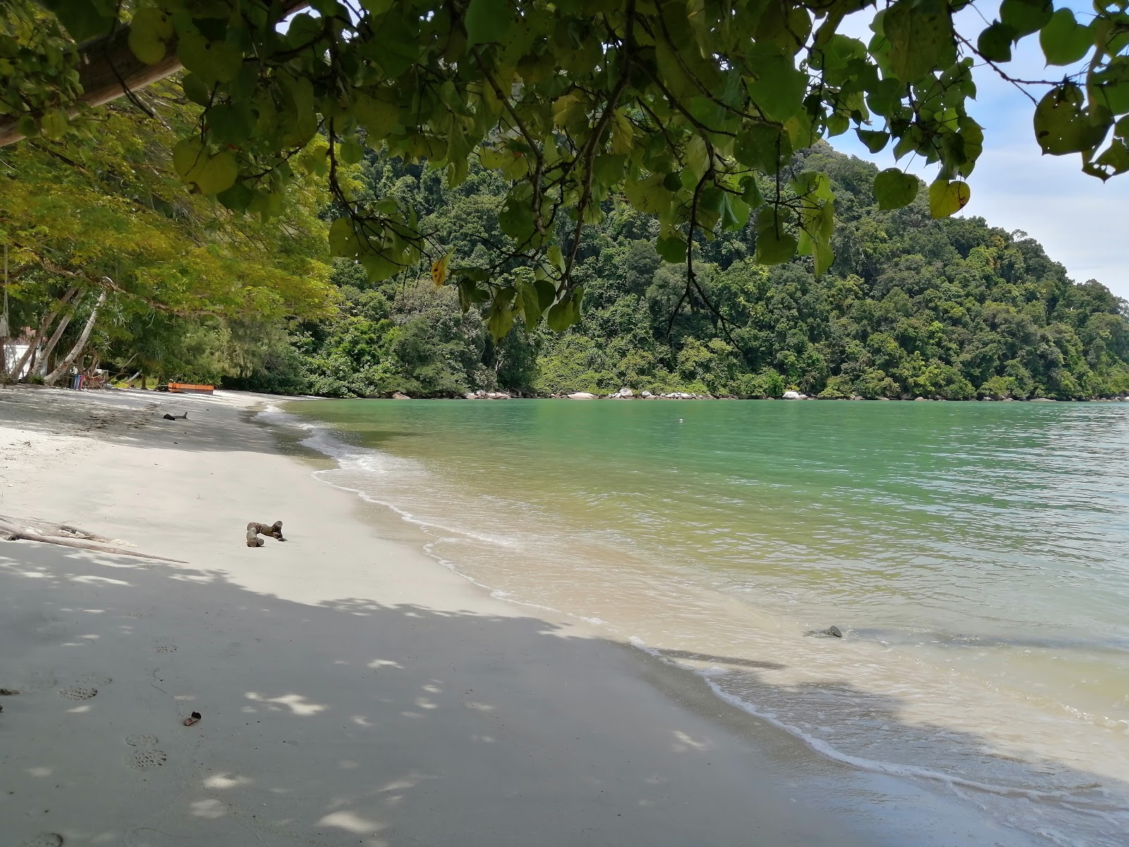 Monkey Beach'in fotoğrafı imkanlar alanı