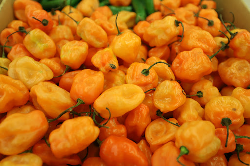 Grocery Store «Food Lion», reviews and photos, 936 Richards Rd, Antioch, TN 37013, USA