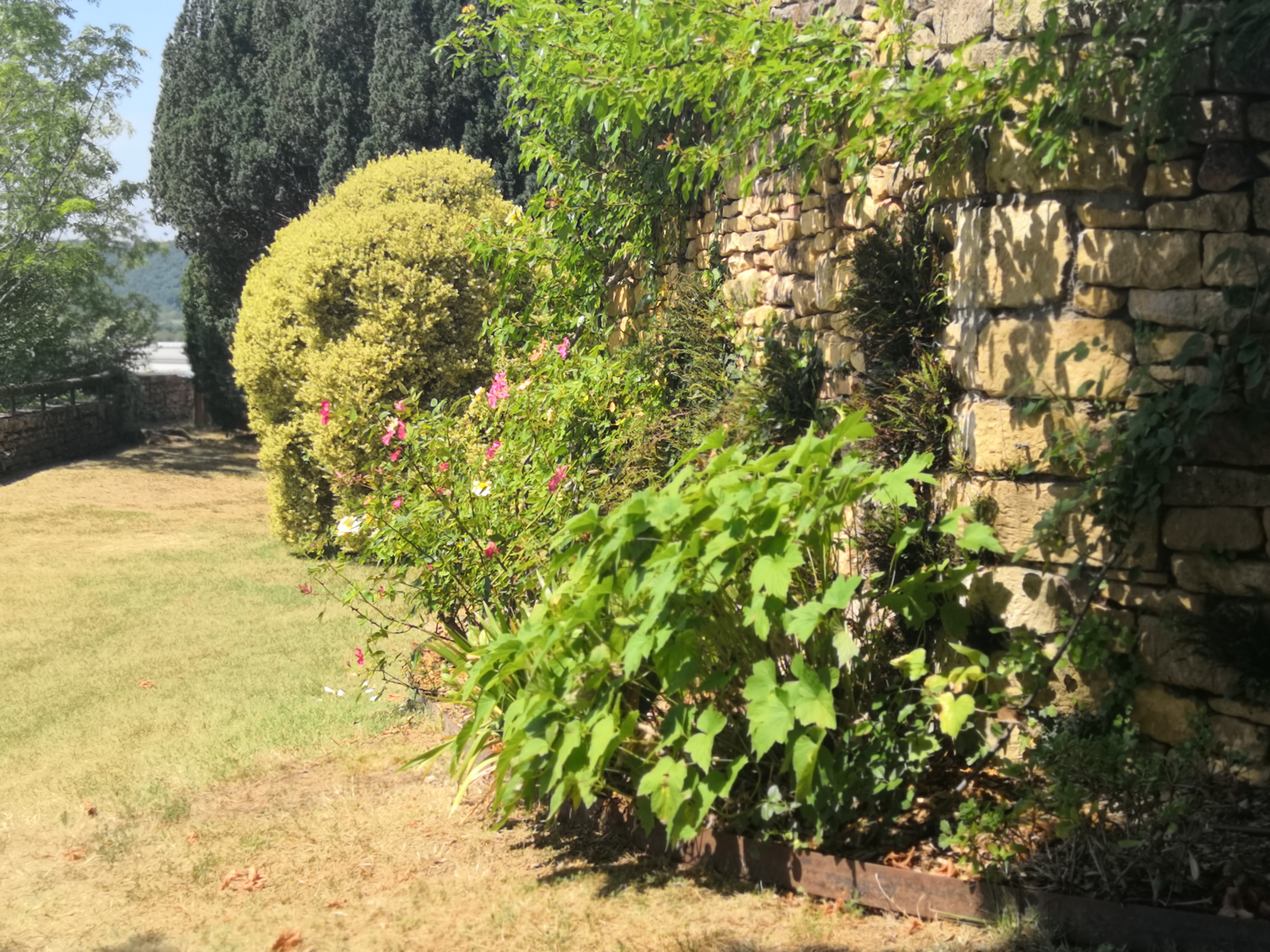 Photo n° 8 de l'avis de MAGALI.U fait le 18/07/2019 à 22:11