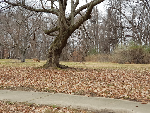 National Park «Fort Washington Park», reviews and photos, 13551 Fort Washington Rd, Fort Washington, MD 20744, USA