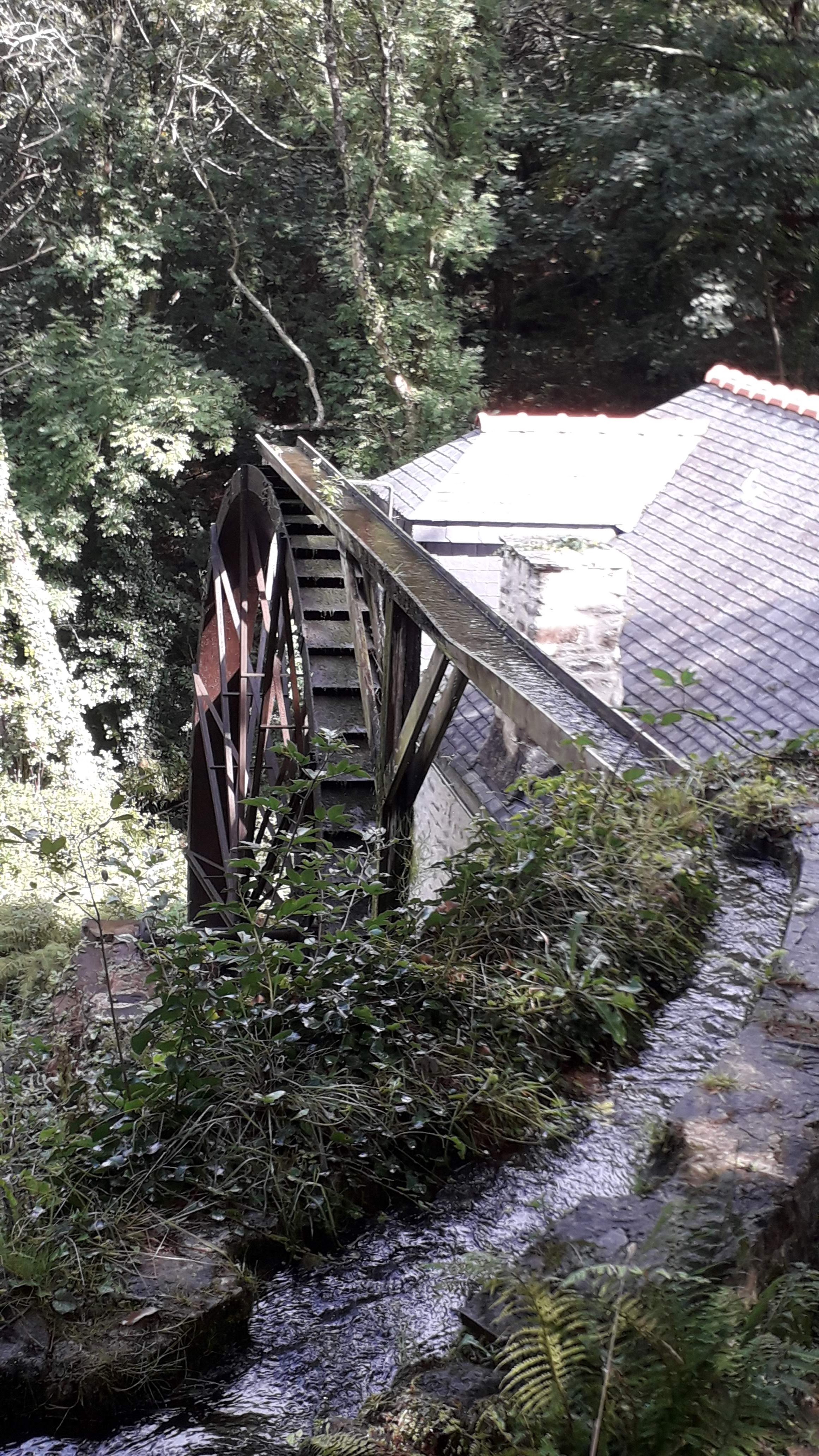 Photo n° 1 de l'avis de FRANCOISE.L fait le 14/09/2019 à 00:32