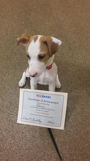 Pet Supply Store «PetSmart», reviews and photos, 9887 76th St, Pleasant Prairie, WI 53158, USA