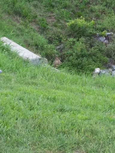 Amusement Center «Go N Bananas Family Fun Center», reviews and photos, 1170 Garfield Ave, Lancaster, PA 17601, USA