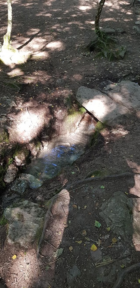 Photo n° 2 de l'avis de François.h fait le 08/07/2019 à 11:47