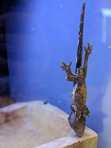 Pet Supply Store «Petco Animal Supplies», reviews and photos, 3012 Bridgepointe Pkwy, San Mateo, CA 94404, USA