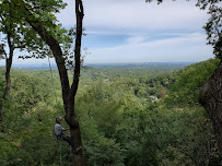 SavATree - Arbor Art Tree Care - Photo 3 - Car repair in Nashville, TN, Nashville