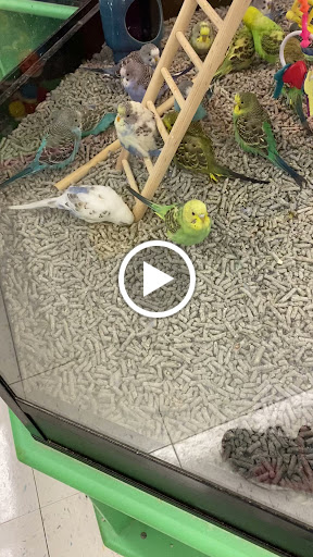 Pet Supply Store «Petco Animal Supplies», reviews and photos, 848 N Colony Rd c, Wallingford, CT 06492, USA