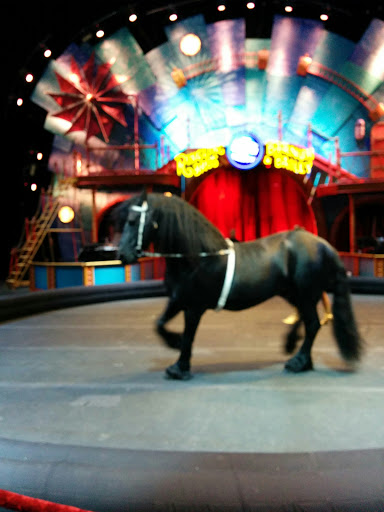 Arena «Scope Arena», reviews and photos, 201 E Brambleton Ave, Norfolk, VA 23510, USA