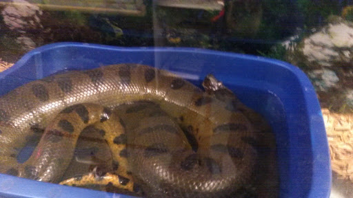 Pet Supply Store «Pure Paradise Pets», reviews and photos, 39 Putnam Pike, Johnston, RI 02919, USA