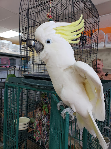 Pet Store «Louis Birds Pets & Supplies», reviews and photos, 80 Keyes St, San Jose, CA 95122, USA