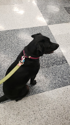 Pet Supply Store «Petco Animal Supplies», reviews and photos, 2204 Harlem Ave, North Riverside, IL 60546, USA