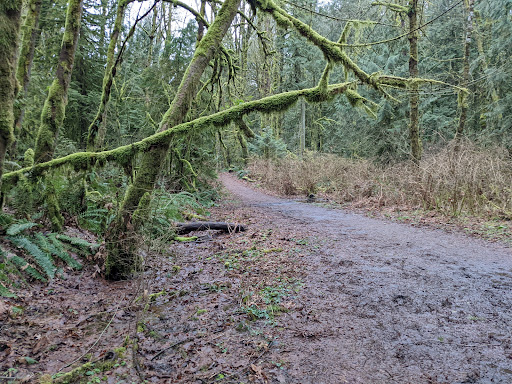 Leif Erikson Germantown Trail Head