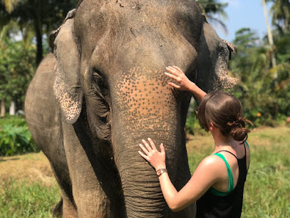 Aonang Elephant Sanctuary