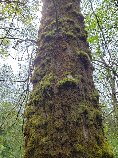 Museum «Vancouver Water Resources Education Center», reviews and photos, 4600 SE Columbia Way, Vancouver, WA 98661, USA