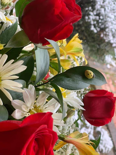 Florist «RosAmungThorns», reviews and photos, 2030 S Stewart Ave #112, Springfield, MO 65804, USA