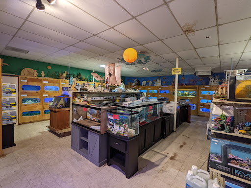 Pet Store «Forever Pets Inc», reviews and photos, 1030 Basse Rd, San Antonio, TX 78212, USA