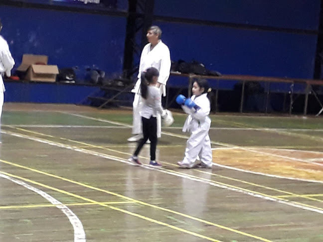 Gimnasio municipal Nro 2 Victoria - Gimnasio