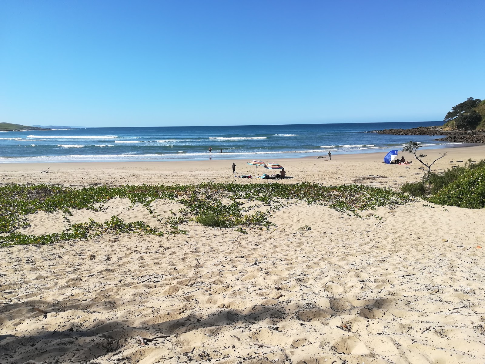 Photo de Mdumbi beach zone sauvage