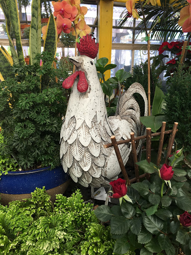 Florist «Bayport Flower Houses, Inc.», reviews and photos, 940 Montauk Hwy, Bayport, NY 11705, USA