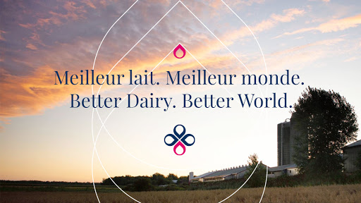 Dairy supplier Québec