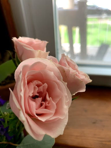 Florist «A Floral Affair», reviews and photos, 743 W Main St, Lansdale, PA 19446, USA